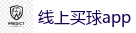 2026 FIFA 世界杯(下注)官方中文站